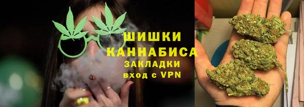 дмт Алзамай