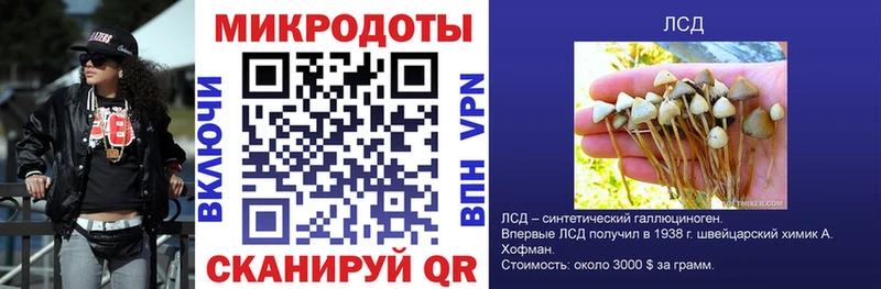 Псилоцибиновые грибы GOLDEN TEACHER Яхрома